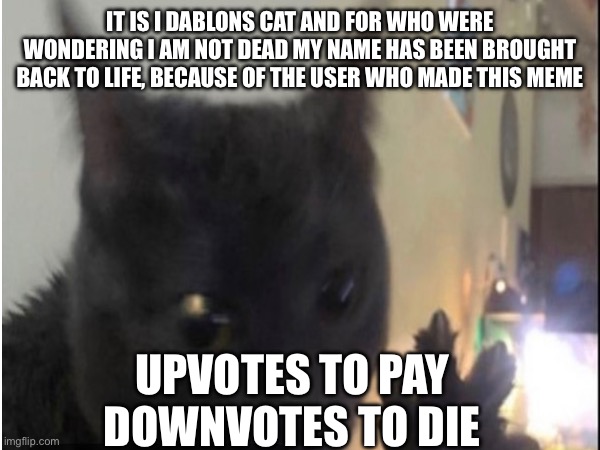 Dablons | IT IS I DABLONS CAT AND FOR WHO WERE WONDERING I AM NOT DEAD MY NAME HAS BEEN BROUGHT BACK TO LIFE, BECAUSE OF THE USER WHO MADE THIS MEME; UPVOTES TO PAY
DOWNVOTES TO DIE | image tagged in dablons,idk | made w/ Imgflip meme maker