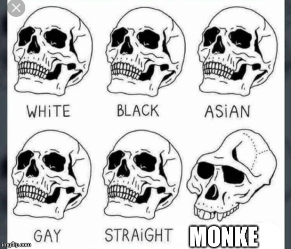 Monke | MONKE | image tagged in white black asian gay straight skull template | made w/ Imgflip meme maker