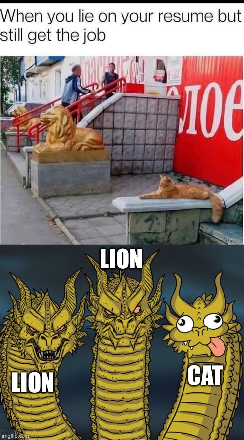 Cat | LION; CAT; LION | image tagged in three-headed dragon,lion,cat,job,lies | made w/ Imgflip meme maker