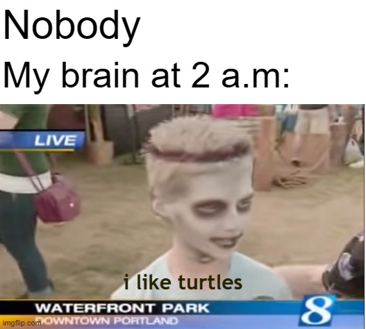 haha so funny now let me sleep | Nobody; My brain at 2 a.m:; i like turtles | image tagged in blank white template,funny,dank memes,fun,i like turtles,nobody | made w/ Imgflip meme maker