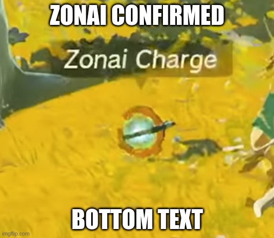 ZONAI CONFIRMED; BOTTOM TEXT | made w/ Imgflip meme maker