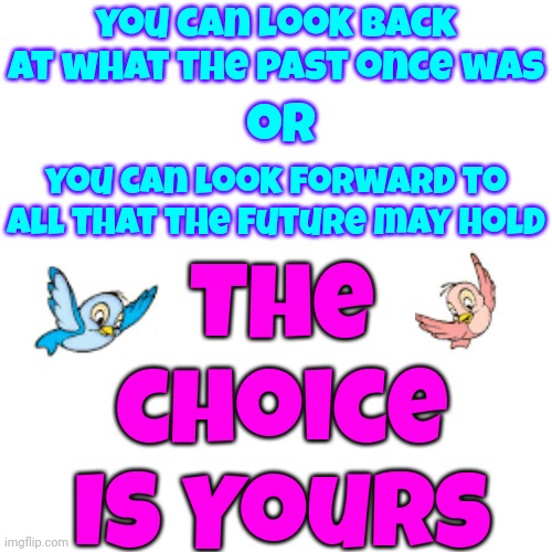 The Choice IS Yours | you can look back at what the past once was; The choice
IS Yours; or; you can look forward to all that the future may hold | image tagged in memes,the choice is yours,the past,the future,choose wisely,it's your future | made w/ Imgflip meme maker