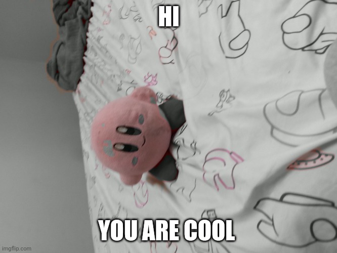 Drunk kirby plush | HI; YOU ARE COOL | image tagged in drunk kirby plush | made w/ Imgflip meme maker