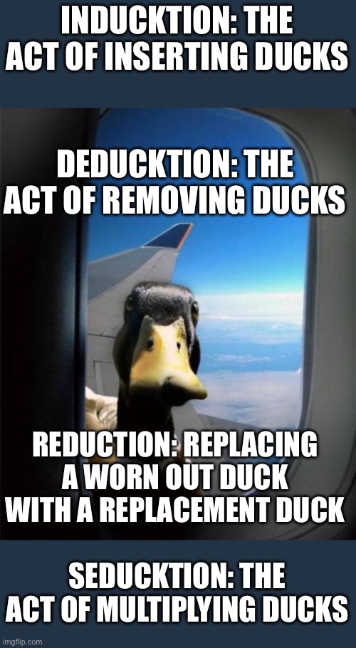 Ducktionary definitions | INDUCKTION: THE
ACT OF INSERTING DUCKS; DEDUCKTION: THE
ACT OF REMOVING DUCKS; REDUCTION: REPLACING
A WORN OUT DUCK
WITH A REPLACEMENT DUCK; SEDUCKTION: THE ACT OF MULTIPLYING DUCKS | image tagged in duck on plane wing,deduct,seduction,inducktion,deducktion,seducktion | made w/ Imgflip meme maker