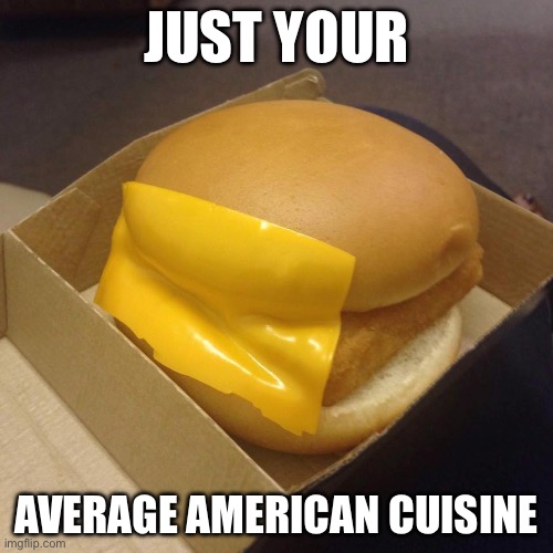 You had ONE job | JUST YOUR; AVERAGE AMERICAN CUISINE | image tagged in you had one job | made w/ Imgflip meme maker