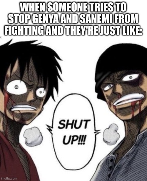 "brotherly love" | WHEN SOMEONE TRIES TO STOP GENYA AND SANEMI FROM FIGHTING AND THEY'RE JUST LIKE: | image tagged in shut up,demon slayer,one piece | made w/ Imgflip meme maker