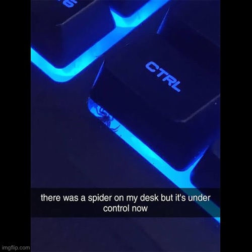 Best pun ever lol | image tagged in lol | made w/ Imgflip meme maker