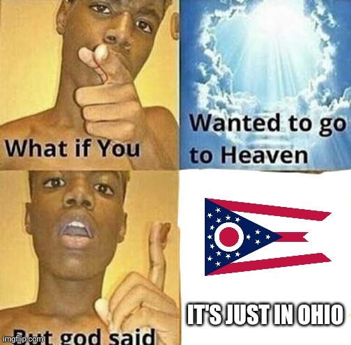 If you wanted to Ohio memes | IT'S JUST IN OHIO | image tagged in what if you wanted to go to heaven,memes | made w/ Imgflip meme maker