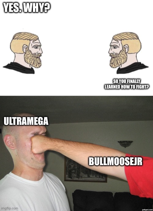 YES. WHY? SO YOU FINALLY LEARNED HOW TO FIGHT? BULLMOOSEJR ULTRAMEGA | image tagged in nordic gamer and yes,face punch | made w/ Imgflip meme maker