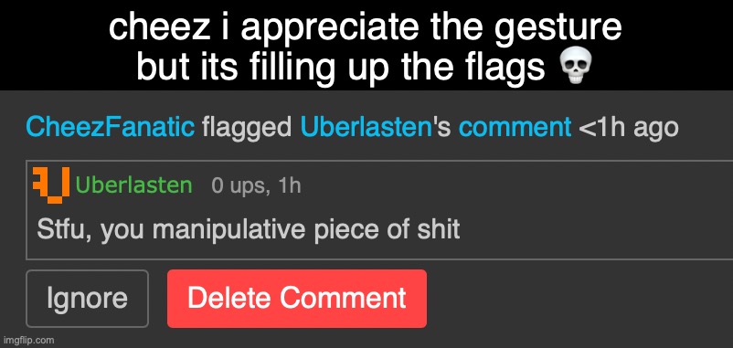 cheez i appreciate the gesture but its filling up the flags 💀 | made w/ Imgflip meme maker