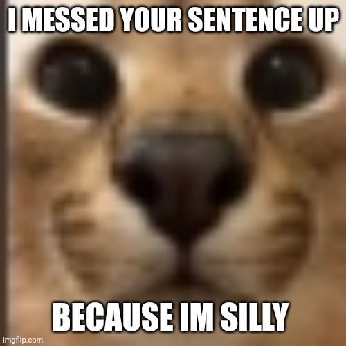 Whar | I MESSED YOUR SENTENCE UP BECAUSE IM SILLY | image tagged in whar | made w/ Imgflip meme maker