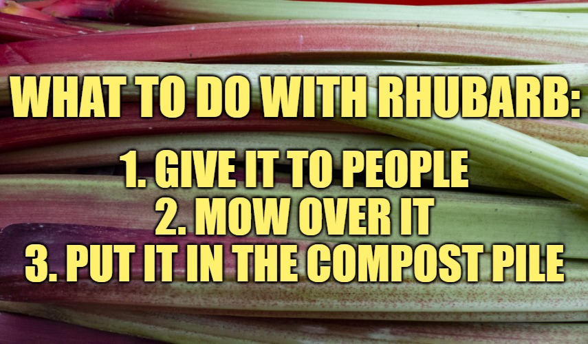 What To Do with Rhubarb | WHAT TO DO WITH RHUBARB:; 1. GIVE IT TO PEOPLE
2. MOW OVER IT
3. PUT IT IN THE COMPOST PILE | image tagged in rhubarb vegetable,funny memes,humor,jokes,food,gardening | made w/ Imgflip meme maker
