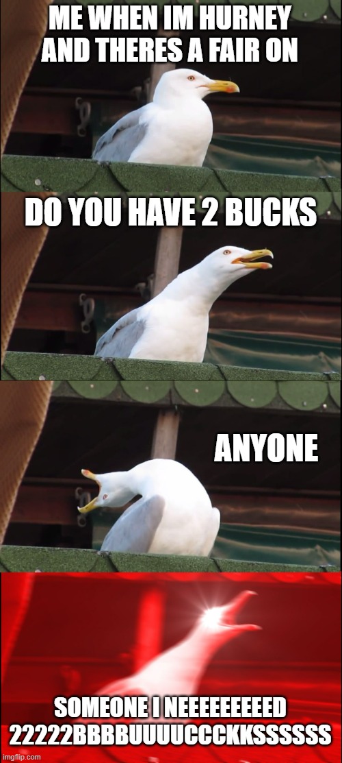 Inhaling Seagull Meme | ME WHEN IM HURNEY AND THERES A FAIR ON; DO YOU HAVE 2 BUCKS; ANYONE; SOMEONE I NEEEEEEEEED 22222BBBBUUUUCCCKKSSSSSS | image tagged in memes,inhaling seagull | made w/ Imgflip meme maker