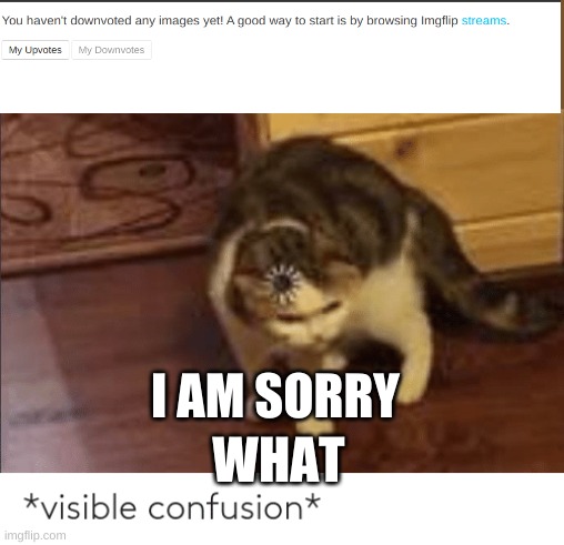 visible confusion | I AM SORRY; WHAT | image tagged in visible confusion | made w/ Imgflip meme maker