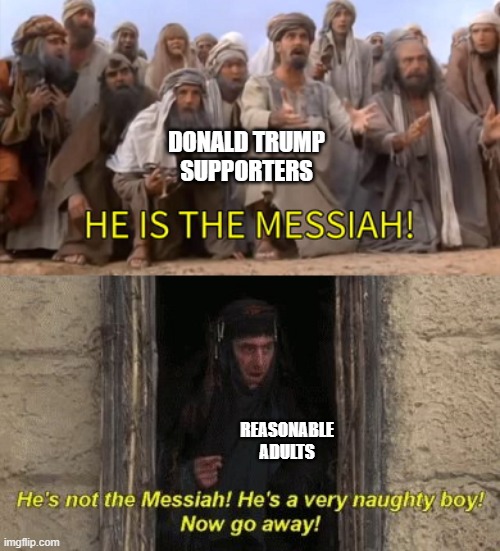Donald Trump is a false idol. | DONALD TRUMP
SUPPORTERS; REASONABLE
ADULTS | image tagged in dumb man worshippers,he is the messiah,donald trump,monty python,life of brian,conservative logic | made w/ Imgflip meme maker