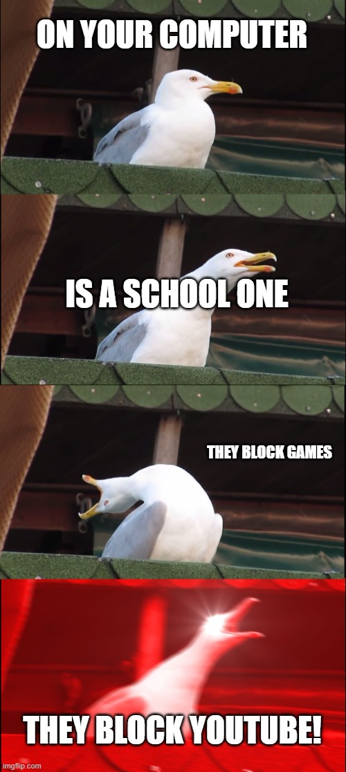 Inhaling Seagull | ON YOUR COMPUTER; IS A SCHOOL ONE; THEY BLOCK GAMES; THEY BLOCK YOUTUBE! | image tagged in memes,inhaling seagull | made w/ Imgflip meme maker