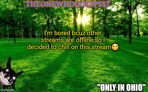 I just wanna chill | I'm bored bcuz other streams are offline so I decided to chill on this stream🙂 | image tagged in theonewhogoespsst announcement | made w/ Imgflip meme maker