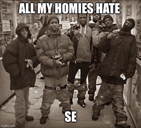 All My Homies Hate | ALL MY HOMIES HATE; SE | image tagged in all my homies hate | made w/ Imgflip meme maker