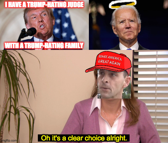 It is. | I HAVE A TRUMP-HATING JUDGE; WITH A TRUMP-HATING FAMILY; Oh it's a clear choice alright. | image tagged in memes,they're the same picture | made w/ Imgflip meme maker