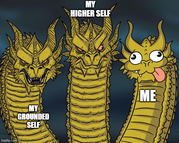 My spirituality | MY HIGHER SELF; ME; MY GROUNDED SELF | image tagged in three-headed dragon,spirituality,spiritual,funny | made w/ Imgflip meme maker