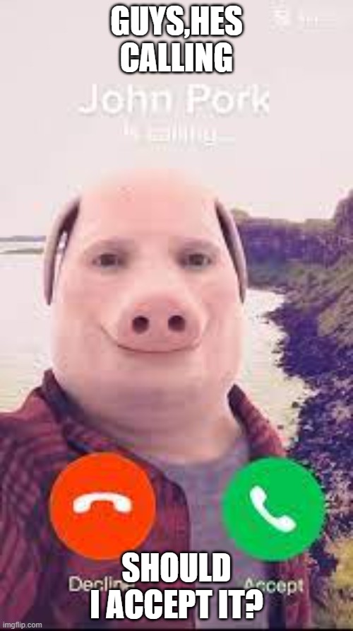 John Pork is calling 0.0 | GUYS,HES CALLING; SHOULD I ACCEPT IT? | image tagged in john pork,isayrightfootcreekfoot,fun,goofy ahh | made w/ Imgflip meme maker