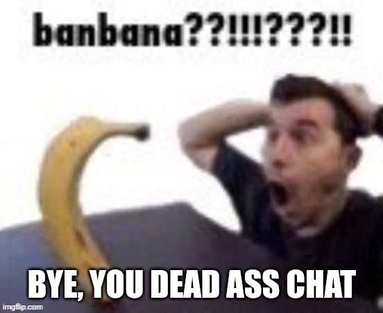 banbana??!!!???!! | BYE, YOU DEAD ASS CHAT | image tagged in banbana | made w/ Imgflip meme maker