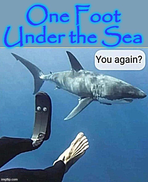 One foot down ! | image tagged in shark attack | made w/ Imgflip meme maker
