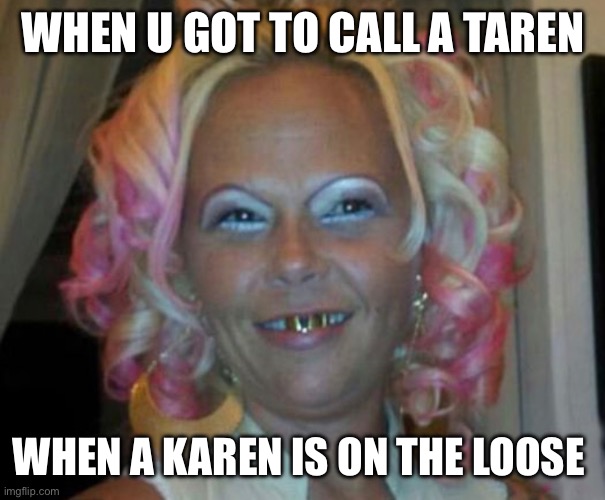 WHEN U GOT TO CALL A TAREN; WHEN A KAREN IS ON THE LOOSE | made w/ Imgflip meme maker