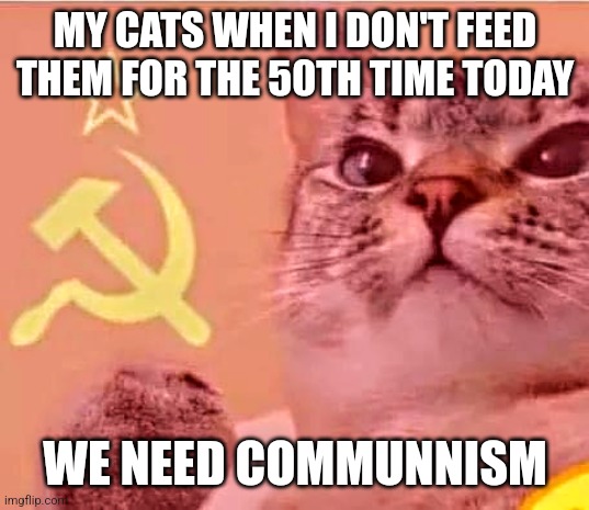 Communism Cat | MY CATS WHEN I DON'T FEED THEM FOR THE 50TH TIME TODAY; WE NEED COMMUNNISM | image tagged in communism cat | made w/ Imgflip meme maker