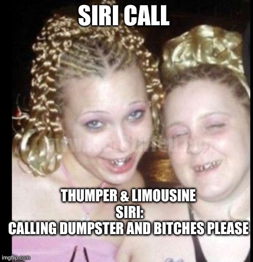 Random | SIRI CALL; THUMPER & LIMOUSINE 
SIRI:
CALLING DUMPSTER AND BITCHES PLEASE | image tagged in random | made w/ Imgflip meme maker