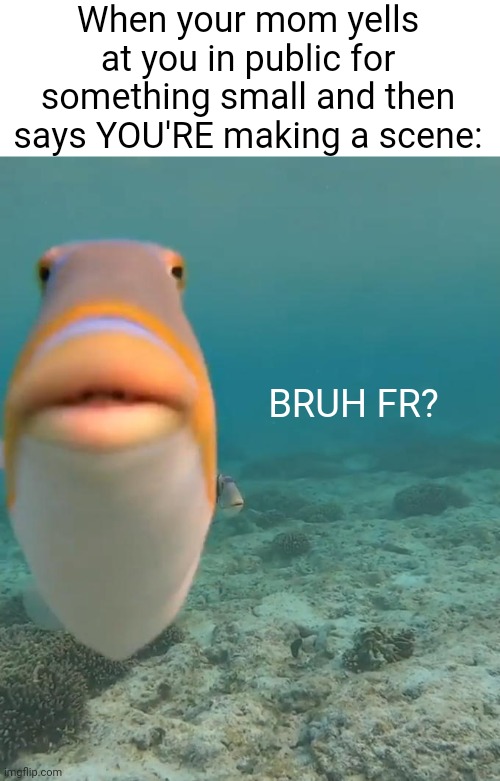 Like wdym bro | When your mom yells at you in public for something small and then says YOU'RE making a scene:; BRUH FR? | image tagged in staring fish | made w/ Imgflip meme maker