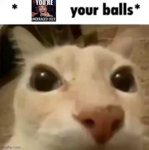 X your balls | image tagged in x your balls,msmg | made w/ Imgflip meme maker