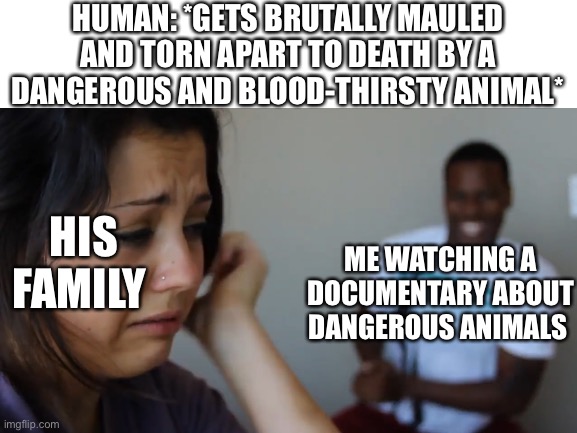 How I be watching animal documentaries | HUMAN: *GETS BRUTALLY MAULED AND TORN APART TO DEATH BY A DANGEROUS AND BLOOD-THIRSTY ANIMAL*; HIS FAMILY; ME WATCHING A DOCUMENTARY ABOUT DANGEROUS ANIMALS | image tagged in documentary | made w/ Imgflip meme maker