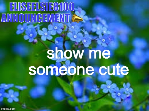 EliseElsie8100 Announcement | show me someone cute | image tagged in eliseelsie8100 announcement | made w/ Imgflip meme maker
