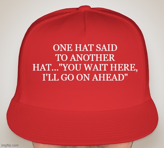 Bad Hat | ONE HAT SAID TO ANOTHER HAT..."YOU WAIT HERE, I'LL GO ON AHEAD" | image tagged in trump hat | made w/ Imgflip meme maker