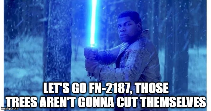 Lumberious | LET'S GO FN-2187, THOSE TREES AREN'T GONNA CUT THEMSELVES | image tagged in star wars,memes,funny | made w/ Imgflip meme maker