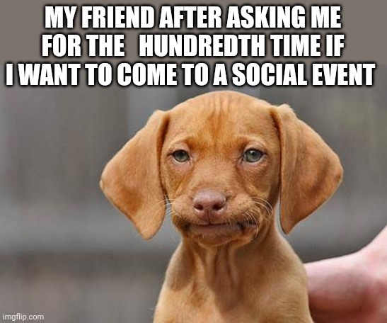 Note: I did not go. | MY FRIEND AFTER ASKING ME FOR THE   HUNDREDTH TIME IF I WANT TO COME TO A SOCIAL EVENT | image tagged in dissapointed puppy,introvert,meme | made w/ Imgflip meme maker