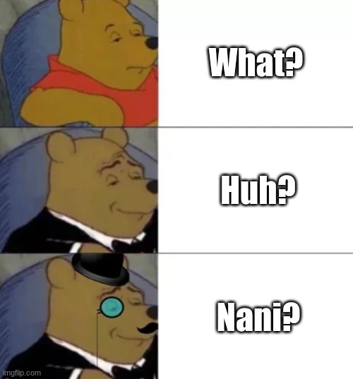 Which one do you use | What? Huh? Nani? | image tagged in fancy pooh | made w/ Imgflip meme maker