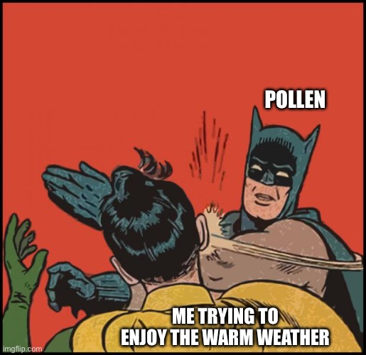 Stupid Pollen | POLLEN; ME TRYING TO ENJOY THE WARM WEATHER | image tagged in batman slapping robin no bubbles,pollen,warm weather,allergies,annoying | made w/ Imgflip meme maker
