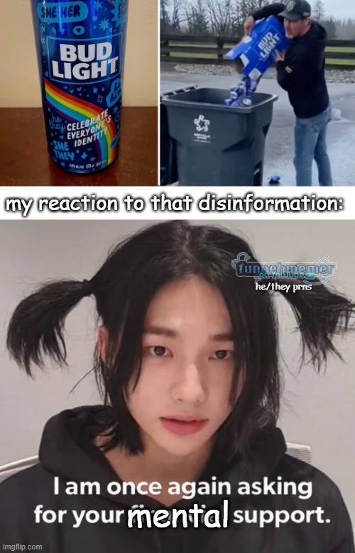hyunjin mad | my reaction to that disinformation:; he/they prns; mental | image tagged in he/they prns,lolz,hyunjin,stray kids | made w/ Imgflip meme maker