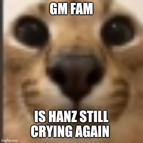 Whar | GM FAM; IS HANZ STILL CRYING AGAIN | image tagged in whar | made w/ Imgflip meme maker