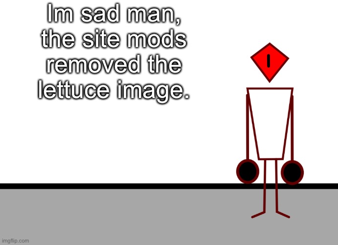 Can we do a reenactment of “meet the spy” from TF2 to mourn for our loss? | Im sad man, the site mods removed the lettuce image. | image tagged in template | made w/ Imgflip meme maker