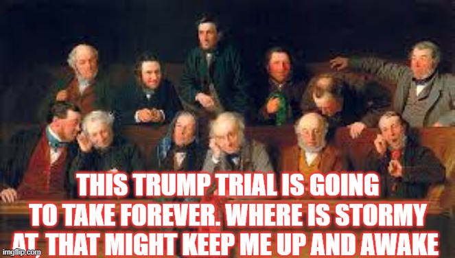 NYC Trump Jury | THIS TRUMP TRIAL IS GOING TO TAKE FOREVER. WHERE IS STORMY AT, THAT MIGHT KEEP ME UP AND AWAKE | image tagged in jury duty,donald trump,politics,justice,stormy daniels,circus | made w/ Imgflip meme maker
