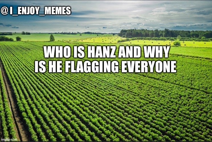 I_enjoy_memes_template | WHO IS HANZ AND WHY IS HE FLAGGING EVERYONE | image tagged in i_enjoy_memes_template | made w/ Imgflip meme maker