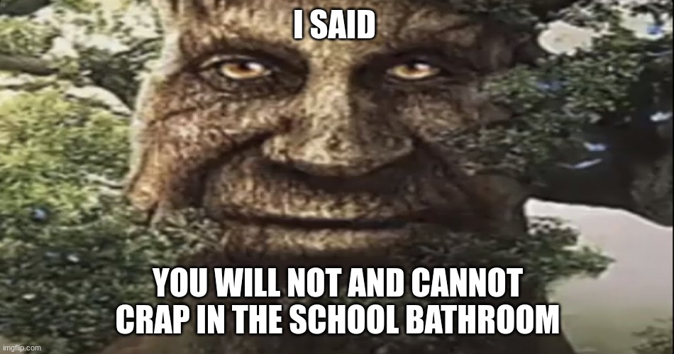 you will NOT | I SAID; YOU WILL NOT AND CANNOT CRAP IN THE SCHOOL BATHROOM | image tagged in wise mystical tree | made w/ Imgflip meme maker