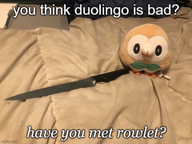 you think duolingo is bad? have you met rowlet? | made w/ Imgflip meme maker