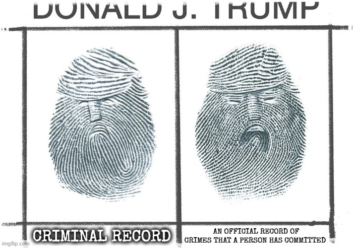 CRIMAL RECORD | AN OFFICIAL RECORD OF CRIMES THAT A PERSON HAS COMMITTED; CRIMINAL RECORD | image tagged in crimal record,rap sheet,jail bird,hoodlum,criminal history,police record | made w/ Imgflip meme maker
