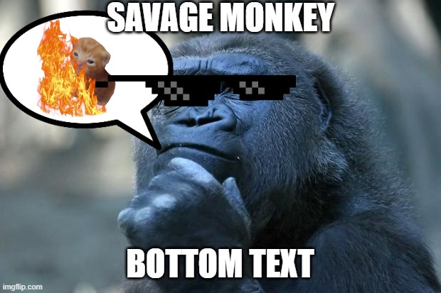 Deep Thoughts | SAVAGE MONKEY; BOTTOM TEXT | image tagged in deep thoughts | made w/ Imgflip meme maker