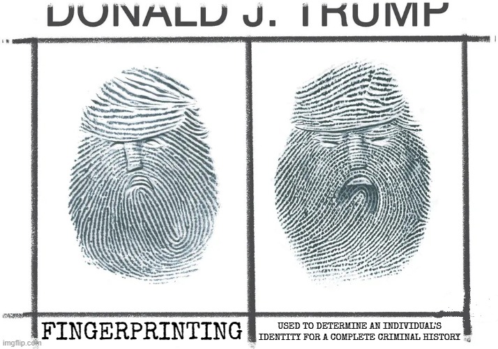 FINGERPRINTING | USED TO DETERMINE AN INDIVIDUAL'S IDENTITY FOR A COMPLETE CRIMINAL HISTORY; FINGERPRINTING | image tagged in fingerprinting,forensics,criminal record,police record,rap sheet,hoodlum | made w/ Imgflip meme maker