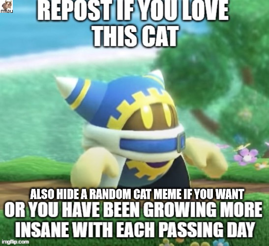 miau | ALSO HIDE A RANDOM CAT MEME IF YOU WANT | made w/ Imgflip meme maker